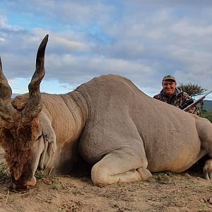 Hunting Eland in South Africa