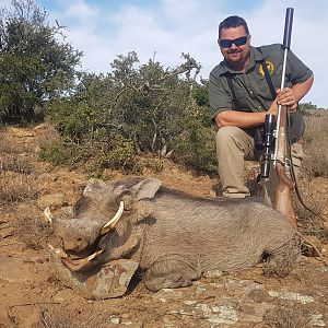 Warthog Hunting South Africa