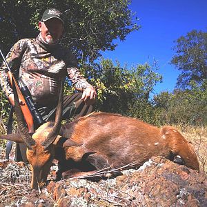 Hunt Bushbuck in South Africa