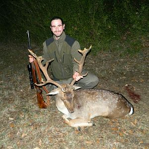 Non-Typical Fallow Deer Italy