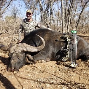 Bow Hunting Cape Buffalo in South Africa