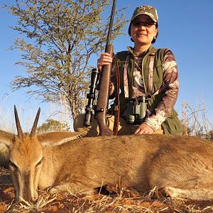Namibia Hunting Grey Duiker