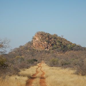 Limpopo Hunting Area South Africa