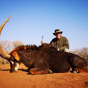 South Africa Hunt Sable Antelope