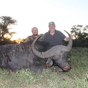 Hunt Cape Buffalo in South Africa