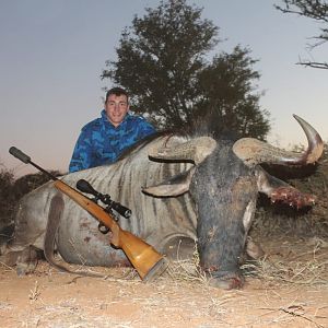 Blue Wildebeest Hunting South Africa