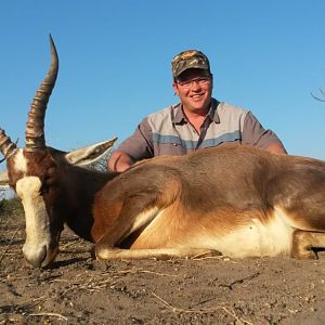 Hunt Blesbok in South Africa