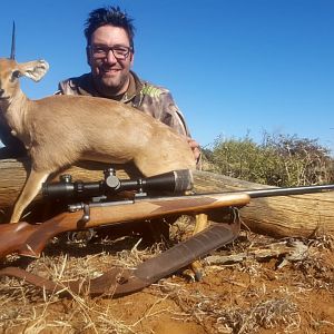 Steenbok Hunting South Africa