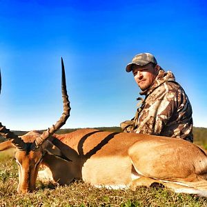 Hunt Impala in South Africa