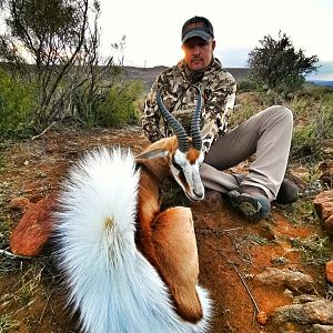 South Africa Hunt Springbok