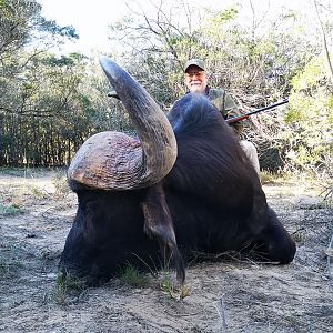 Cape Buffalo Hunt South Africa