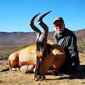 South Africa Hunting Red Hartebeest