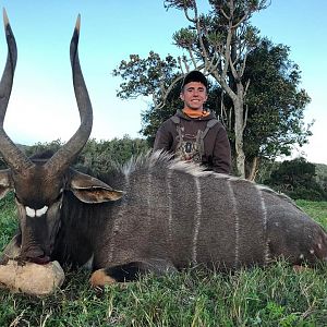 Nyala Hunt South Africa