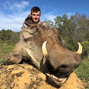 Hunt Warthog in South Africa