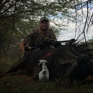 Blue Wildebeest “Connochaetes Taurinus” Bowhunting South Africa