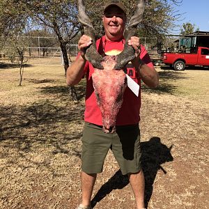 Hunt Eland in South Africa