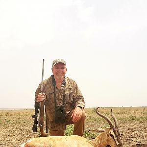 Hunt Soemmerring's Gazelle in Ethiopia