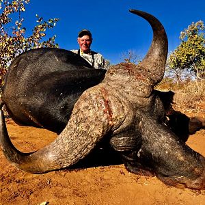 South Africa Hunt Cape Buffalo