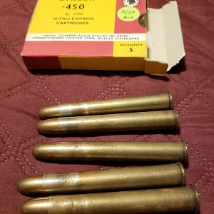 450NE 480g Ammo