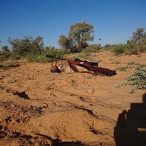 South Africa Hunt Steenbok