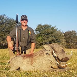 South Africa Hunting Warthog