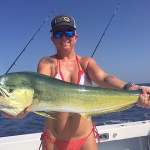 Fishing Dorado in Florida Keys