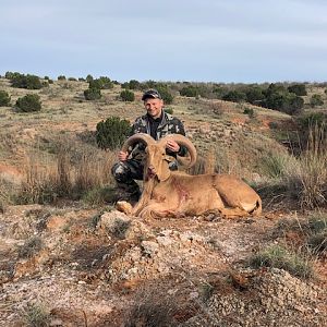 Texas USA Hunting Aoudad