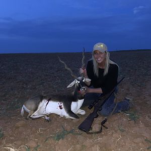 Hunting Blackbuck in Texas USA
