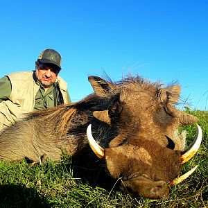 Warthog Hunt South Africa