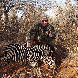 South Africa Hunting Burchell's Plain Zebra