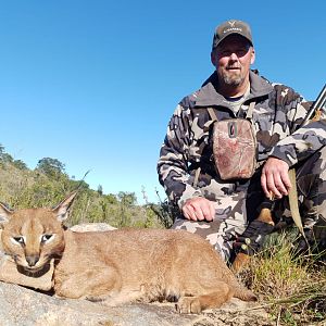 South Africa Hunt Caracal