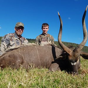 South Africa Hunting Nyala