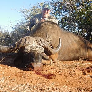 Hunt Cape Buffalo in South Africa