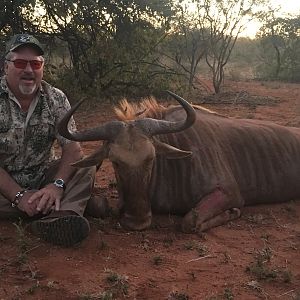 Hunting Golden Wildebeest in South Africa