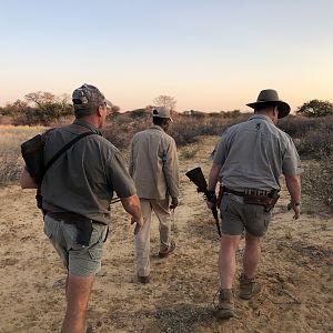 Tracking Lion in South Africa