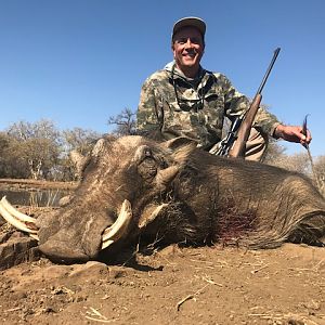 South Africa Hunt Warthog