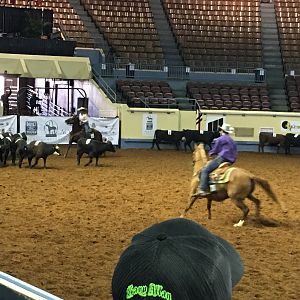 AQHA youth World Finals