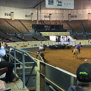 AQHA youth World Finals