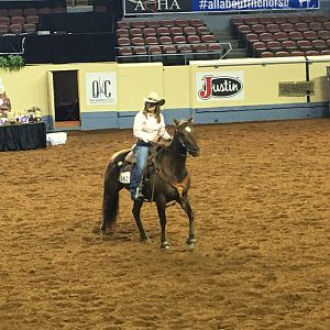 AQHA youth World Finals