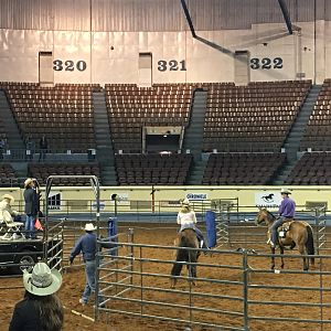 AQHA youth World Finals