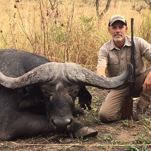 Zambia Hunting 49" Inch Cape Buffalo