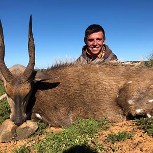 Bushbuck Hunting South Africa