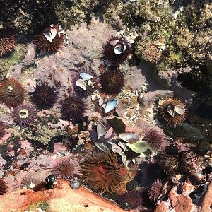 Mossel Bay Tidal pools in South Africa