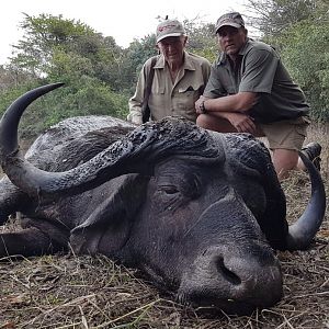 Buffalo Hunting