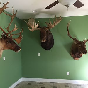 New Trophy Room