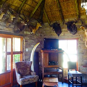 Hunting Lodge in South Africa