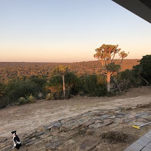 View from Lodge