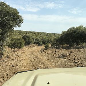 South Africa Hunting Area