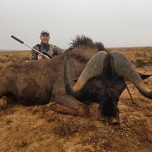 Black Wildebeest Hunt South Africa