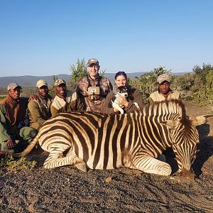 South Africa Hunt Burchell's Plain Zebra